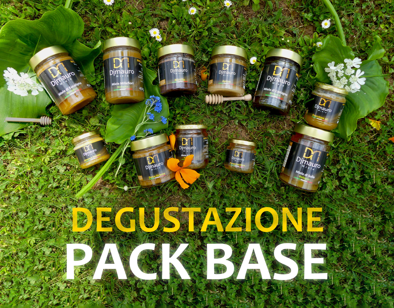 Degustazione | Pack Base